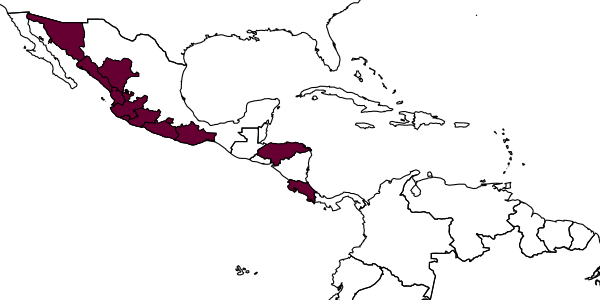 map of Nomamyrmex esenbeckii  mordax   (Santschi, 1929)